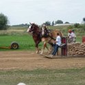 alto-fair-horse-pull-2009-643