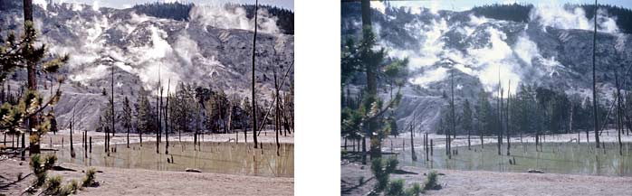 yellowstone park walgreens